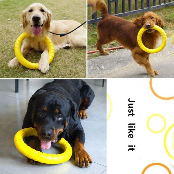 EVA Dog Pull Ring | Interactive Fitness Toy for Outdoor Fun 29cm(11.4in) | For Sale | Wholesale - Image 2